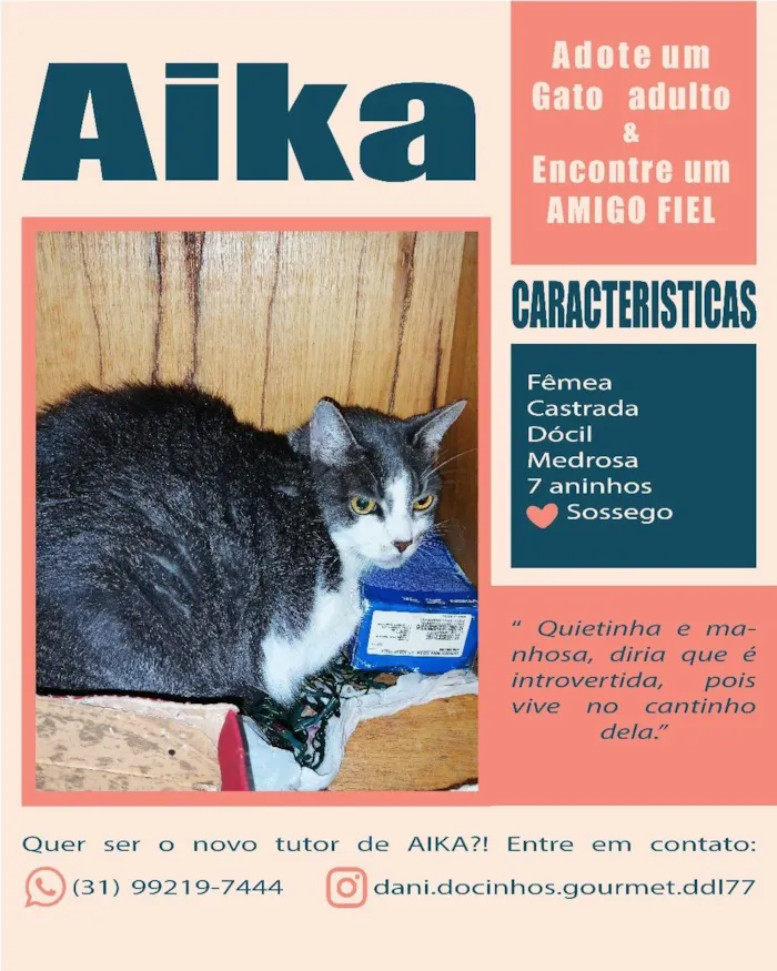 Gato ra a SRD-ViraLata idade 6 ou mais anos nome Rabinho e Rabão