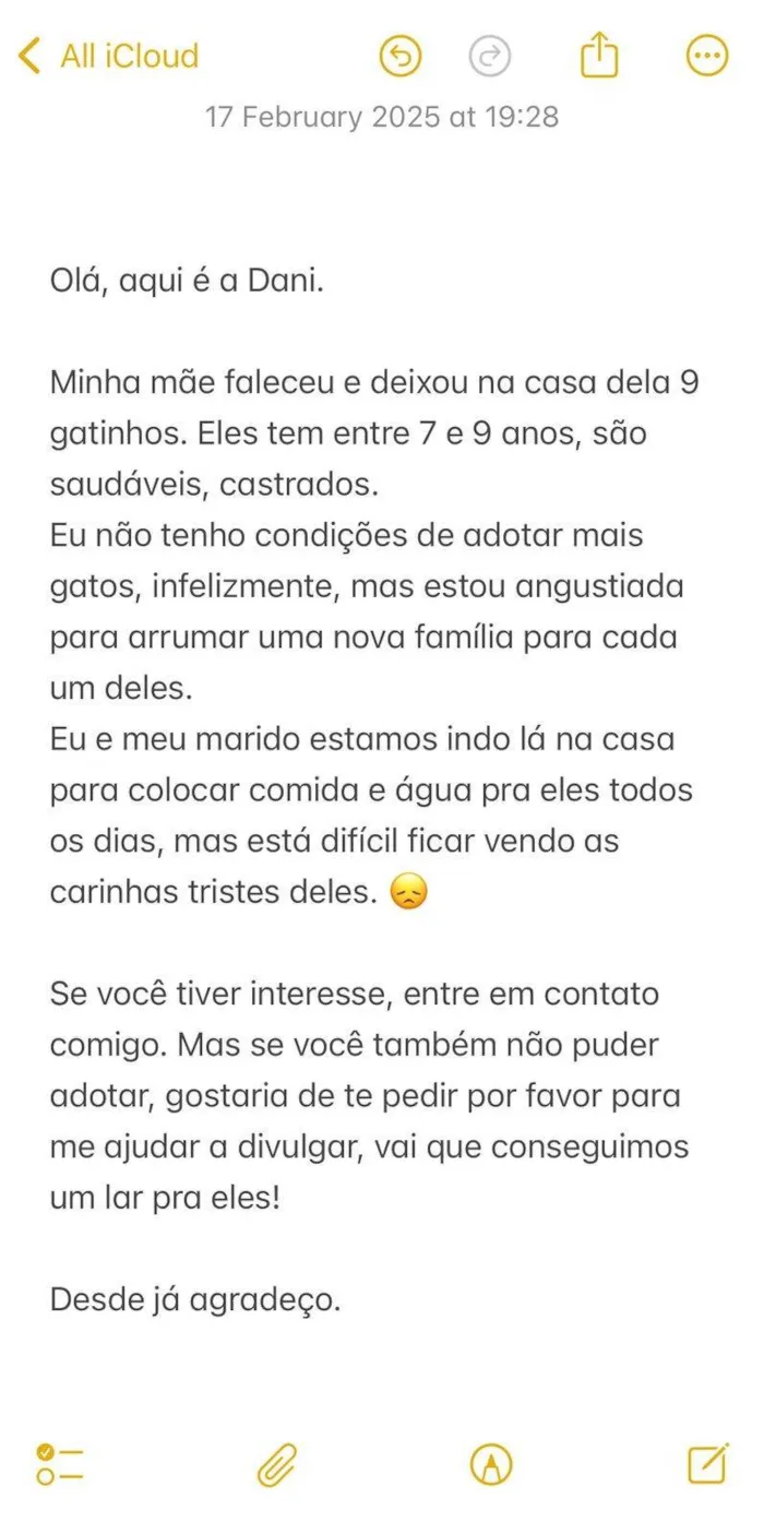 Gato ra a SRD-ViraLata idade 6 ou mais anos nome Rabinho e Rabão