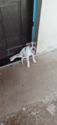 Não coloquei nomes ainda