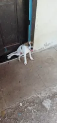 Não coloquei nomes ainda