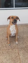 Princesa