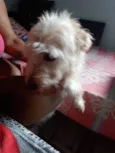 NiNA