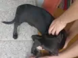 Não tem nome