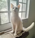 Scott