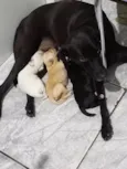 Aínda não tem