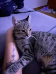 capucha e mel