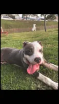 Koda