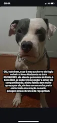 Koda