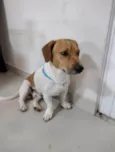 Não sabemos seu nome