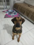 Zuri