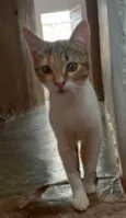 Anne