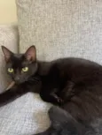 Bit