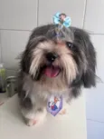 Charlie Juan