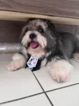 Charlie Juan