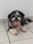 Charlie Juan