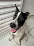 Bolt