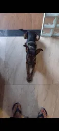 Cleitinho
