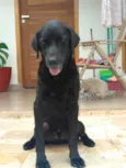 Zeus