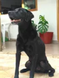 Zeus