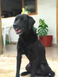 Zeus