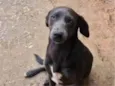 Brenda