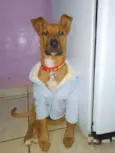 Paçoca