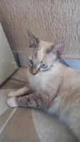 EMy