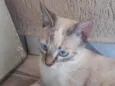 EMy