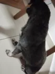 Não sei