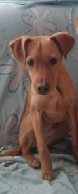 slinky