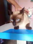 Peter