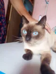 Peter