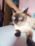 Peter