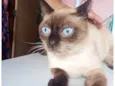 Peter