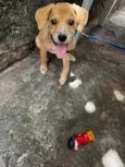 Spike