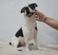 Marley