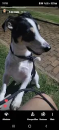 Marley