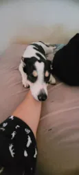 Marley