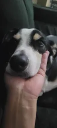 Marley