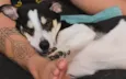 Marley