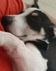 Marley