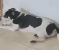 Marley