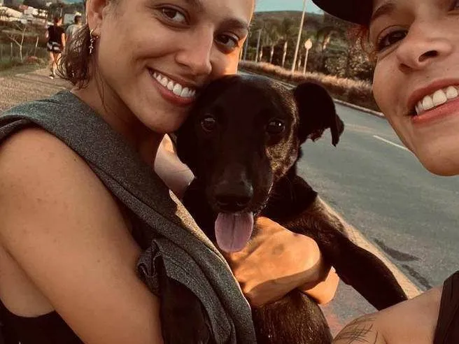 Cachorro ra a SRD-ViraLata idade 2 anos nome Bobby