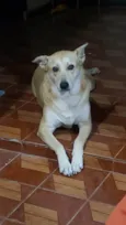 Mag