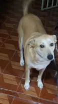 Mag