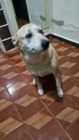 Mag