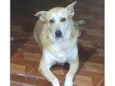 Mag