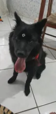 Zoe
