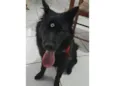Zoe