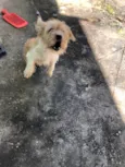 Marley
